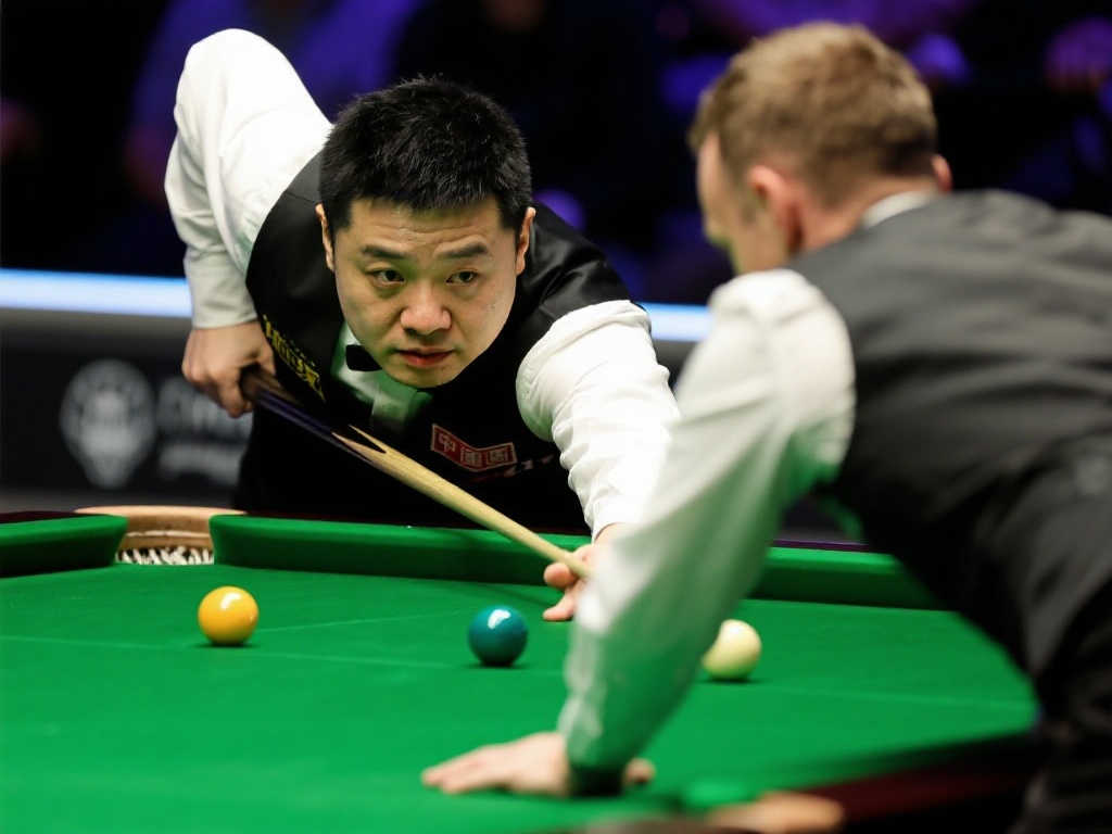 鵜鶘的反扑 鵜鶘的反扑